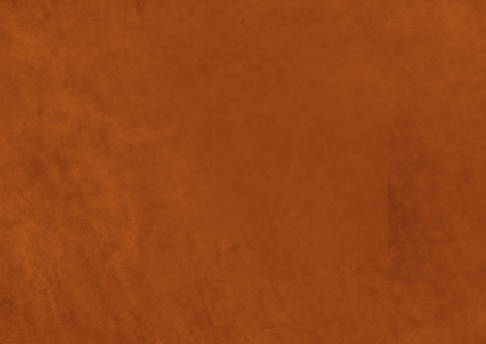 Odessa Velvet, Rust - Roman Blind - Image 7